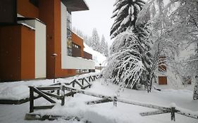 Luce Delle Dolomiti Con Navetta E Sala Giochi